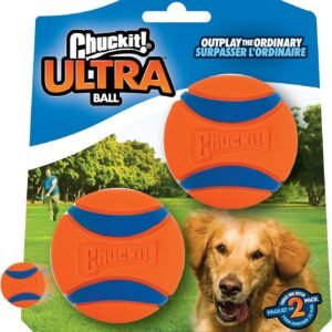 Chuckit! Ultra Ball Dog Toy